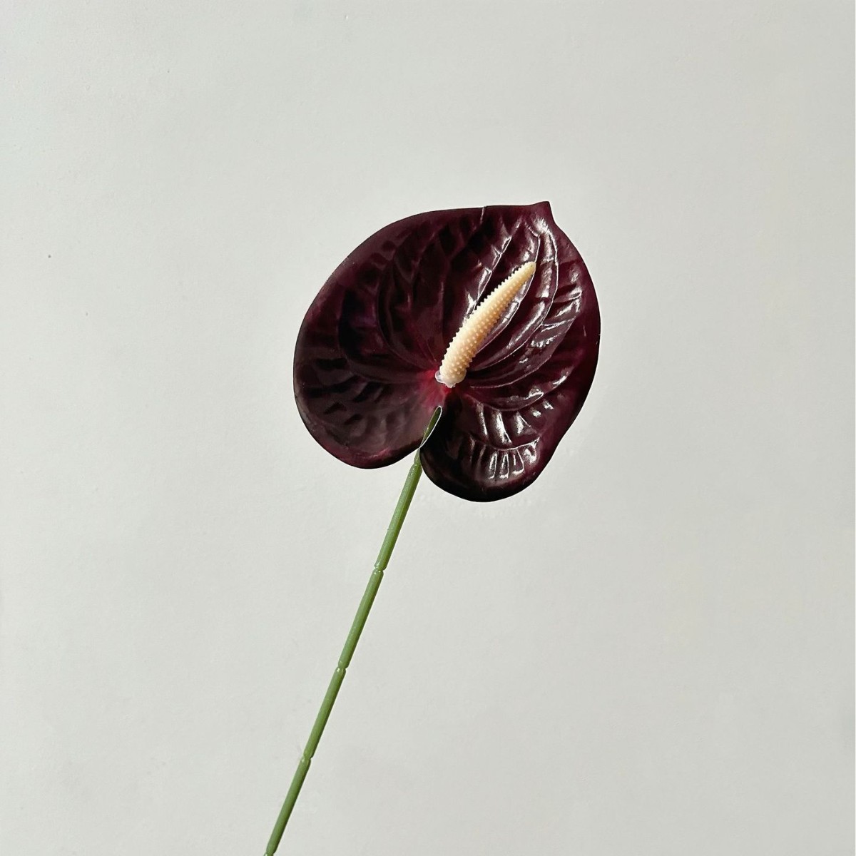 negro rojo