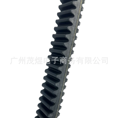 21050831001 21050831000, Belt