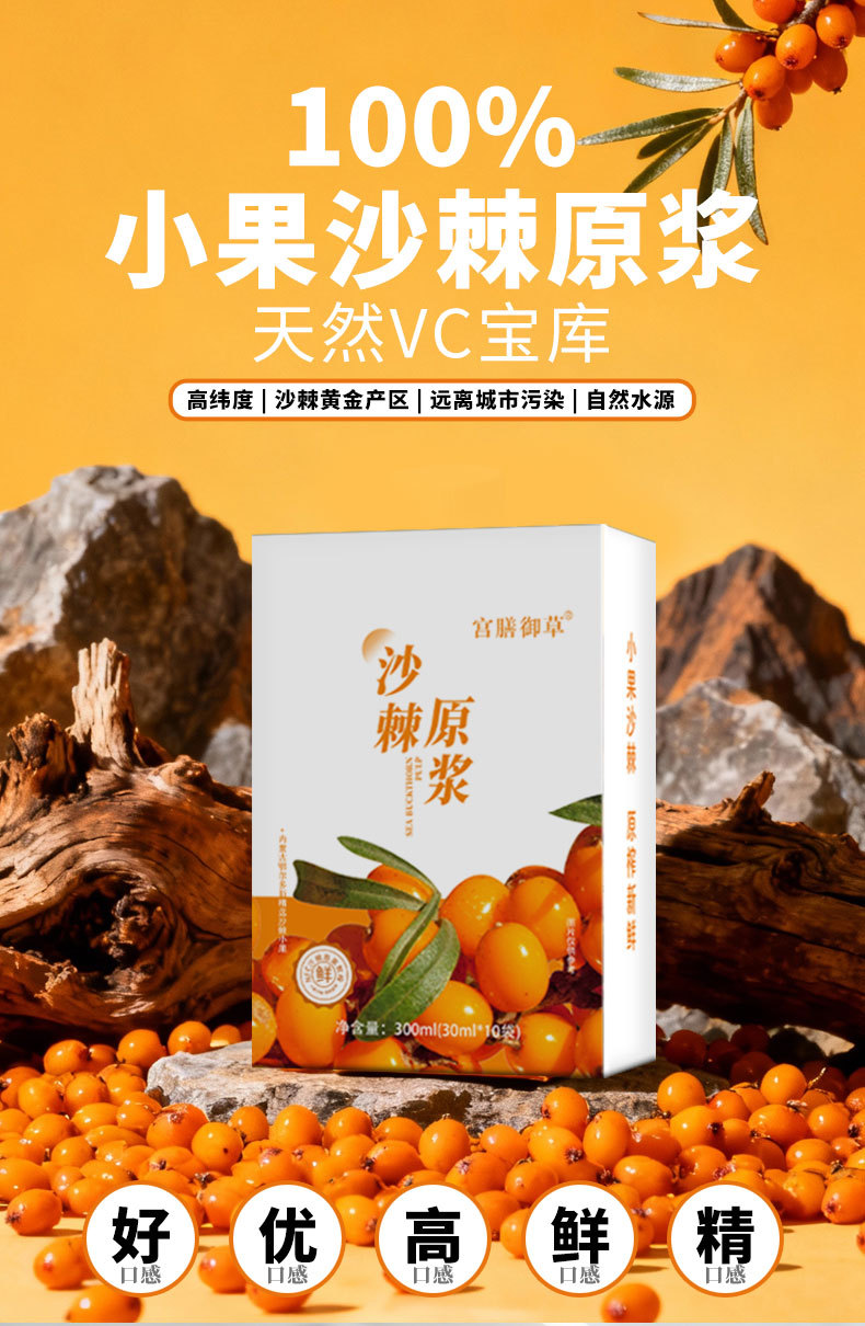 Sea Buckthorn Juice Puree 300ml Ready to Drink Herbal Wellness Beverage overview