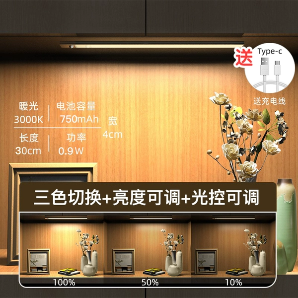 [Standard] 30cm three-color switching + adjustable brightness + charging and plugging + human body sensing + always on