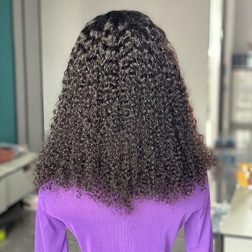 200% Curly Human Hair Wig front lace human hair wigs wigs real hair brazilian