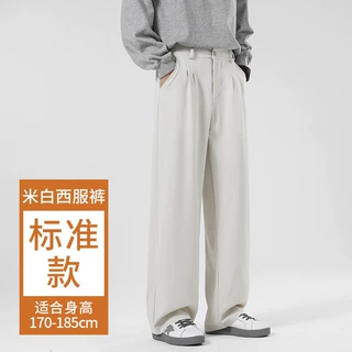2025秋季新款韩版高级垂坠感休闲百搭裤子男山本西裤宽松遮肉直筒