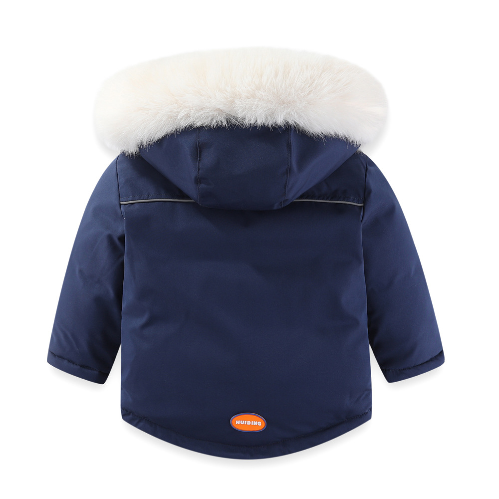 1无水印D25A4957 副本.JPG