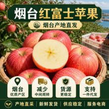 烟台红富士苹果新鲜水果苹果生鲜水果批发果园直发当季一件代发