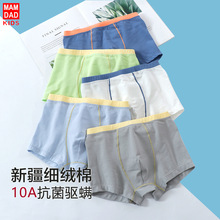 男童a类平角内裤四角裤青少年内裤不夹PP中大童儿童内裤10A抗菌新