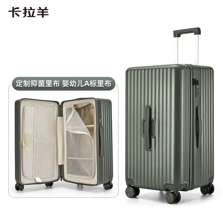 CX8118 여름 Populus euphratica