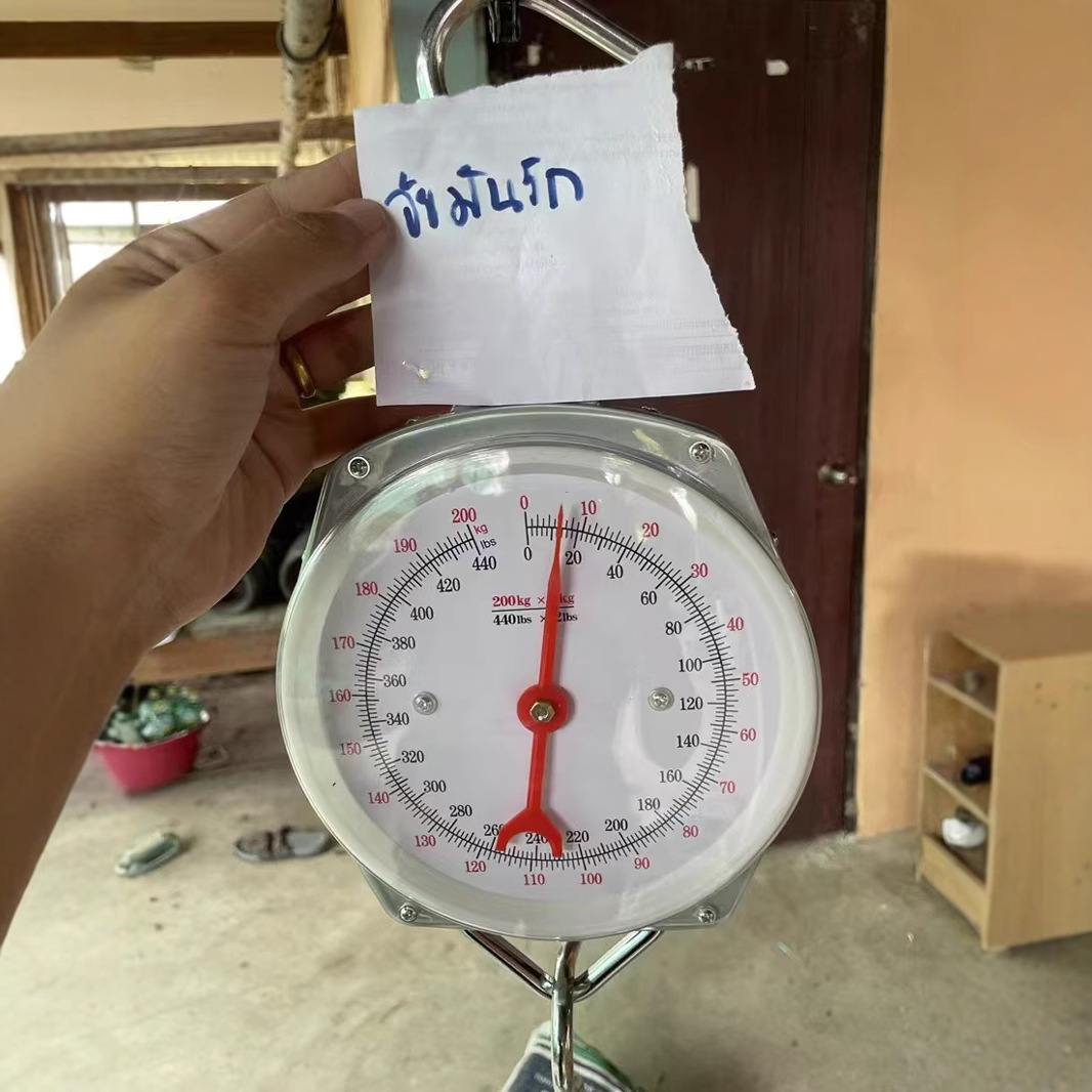 Fábrica de báscula de resorte al por mayor báscula mecánica báscula colgante báscula gancho báscula 200 kg exportación