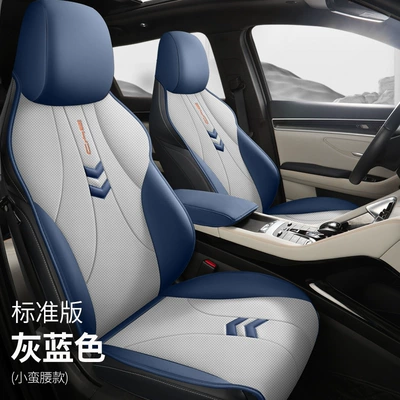Song Pro Glory Edition Four Seasons – Four Seasons Pad - gray-blue-standard-version-small-waist-style-lzqc-byd-song-pro