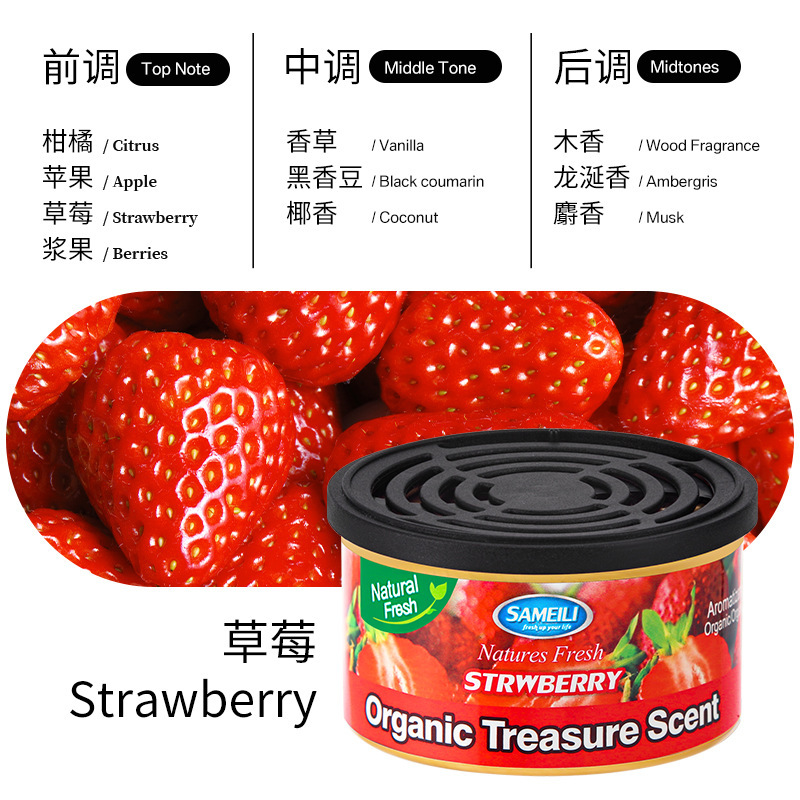 딸기 스로우베리