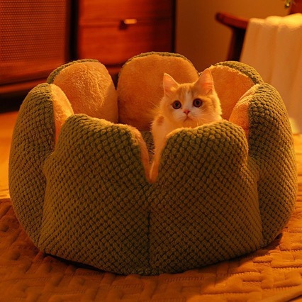 仙人掌猫窝四季夏季狗窝 封闭式猫咪窝冬季保暖宠物用品猫咪睡觉|undefined