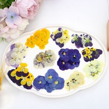 ���b��ɫ��/�����ɻ�Ѻ��/�������ϰ����l���z�Ʒ�����֙C���b�