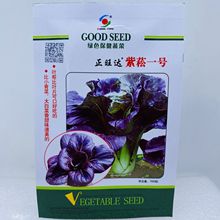 批发紫晶保健菜种子生菜种籽叶用紫色芥菜种子紫叶雪里蕻种子蔬菜