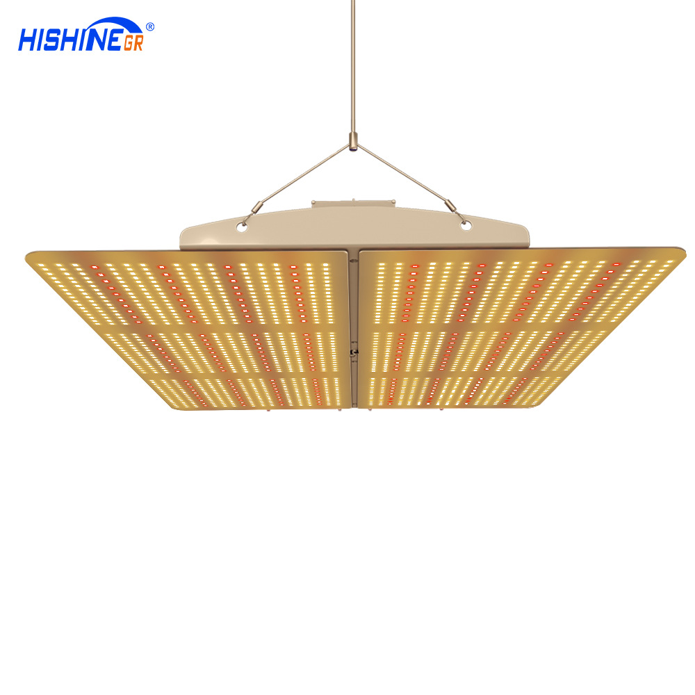 LED quantum lamp