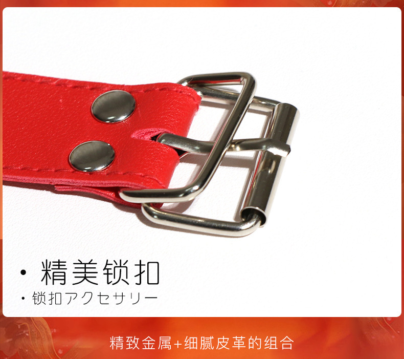 SM Soft-Face Traction Collar Set, PU Leather & Metal Restraint Kit, Black — detail image 3