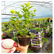 {ݮl ռ{ݮ Ԏ{ݮ ڷM ̩{ݮr