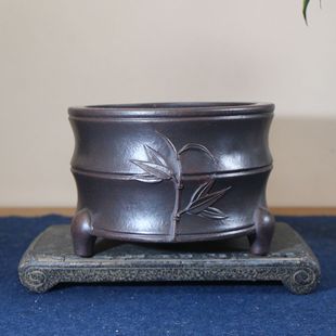 ��ɰ�����ֹ��辰��o��ˮ��ֲ���~�X����ɏ���Ї��Lˮ��ˮϴ