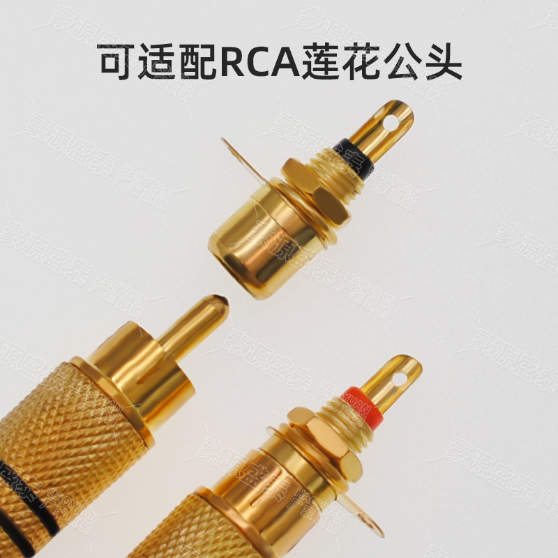 金メッキrca蓮母座パネルソケットav音ビデオ音響スピーカーアンプ単方向蓮母ソケット|undefined