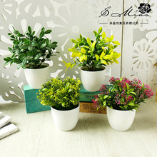 GֲٻԄ҃С[滨辰҃bϲ