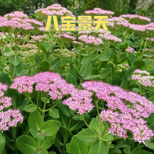 �ˌ����컨�����Զ������͟��ͺ������̨ͥԺ���ܾGֲ�ͺ��޸���