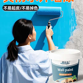 外墙漆室外防水防晒涂料白彩色家用水泥墙面户外耐久自刷环保油漆
