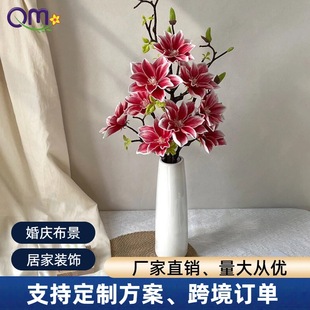 �羳3�^�������m���������mEVA ���|�Ӽ��b��쾰���Q�������l
