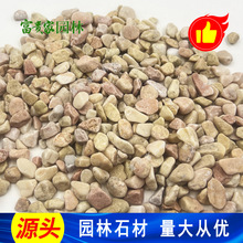 建筑小麦黄碎石 铺路用黄色石子 透水石胶黏石用红色 浅黄色水磨