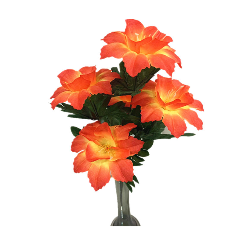 1806acd68073b1c2c04e991fd7b977