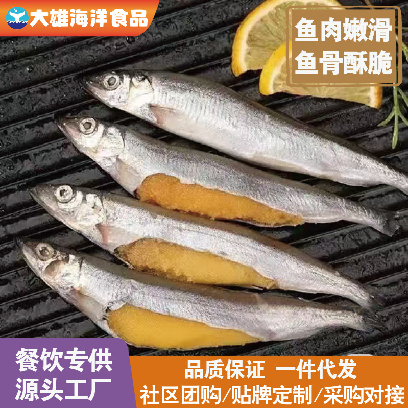 满籽多春鱼新鲜速冻胡瓜鱼鲜活特大冷冻毛鳞鱼商用烧烤整箱批发