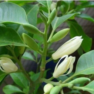 ���m��N�Ӱ����m�N�������m�N�ӏV���m�N���S���m�������m�N��