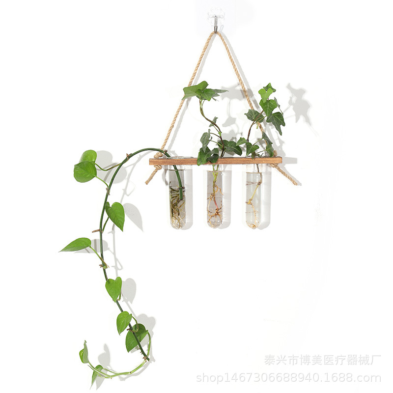 单层三孔创意挂壁式水培玻璃翻边试管单层绿萝植物插花瓶墙面装饰