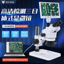 Ŀwҕ@΢֙CS޹WŴW@΢RBm׃Iwʽ@΢R