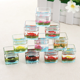 ������΢�sҹ����������~��ģ����������b�Ʒ�\���ֹ�DIY���