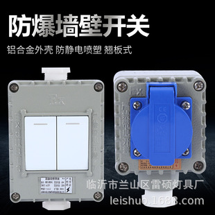 Factory wholesale explosion-proof three-open explosion-proof socket flammable and explosive factory explosion-proof single-open five-hole three-hole socket