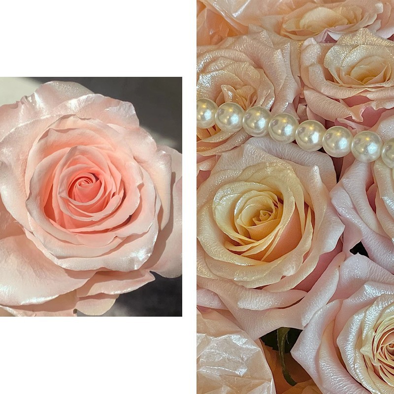 Internet celebridad ciruela negro rosa púrpura flores autopintadas agente de pulverización de color tinte floral spray colorante