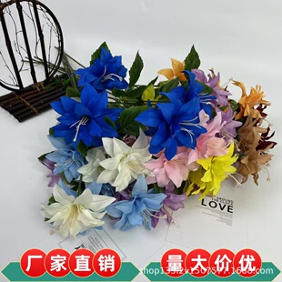 ����5�^��ˮ�ٺϸ�֦ �Ҿӕ��h�d�[�O��c���͔zӰ���Ո@ˇ����