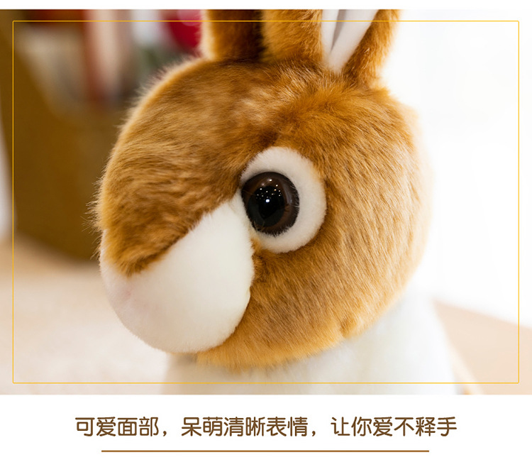仿真兔子_12.jpg