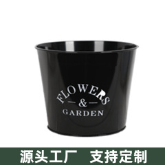 創意糖果色馬口鐵鐵桶 多肉植物兒童手提鐵皮小桶 田園鐵藝鮮花桶