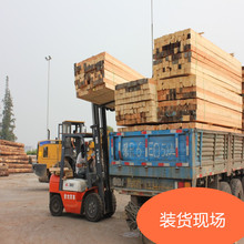 ���Bľ���������Fɼ���ط�ľ ݗ����ľ�l ������ľ�_�ּ�ľ��E18