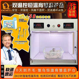 雏鸟监护仓幼鸟保温箱宠物鸟宝风暖恒温0天手养玄凤牡丹小鸟