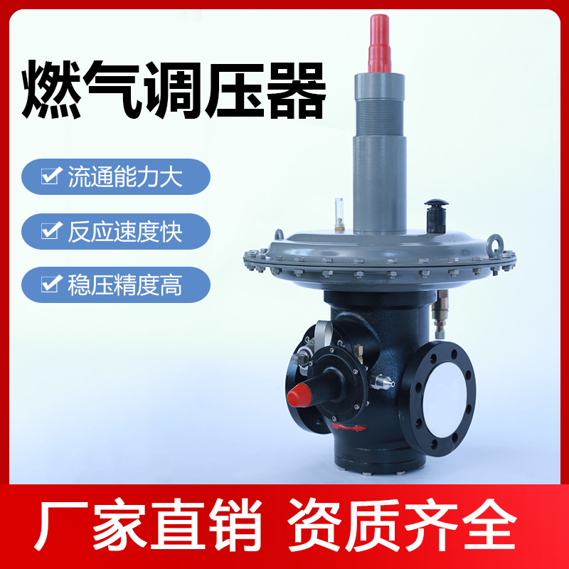 管道式天然气沼气稳压阀燃气减压阀调压器RTZ-AQDN50工业锅炉调压