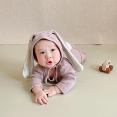 Cute Baby Bodysuit for Boys and Girls, Crawling Suit for Infants, Spring and Autumn Style, Long Sleeve, Rabbit Ear Top, Korean Version, Striped Cotton, Trendy