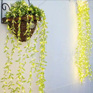 LED�����¿����~�ٗl����҃��������~���h���ϟ����b�