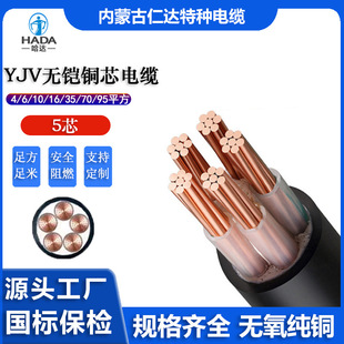 YJV����5о���~6 10 16 35 50 70 95ƽ����늘�܉����ͨ�����|