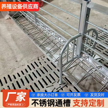 不锈钢通槽自动喂食器粥料食槽M型通槽定位栏保育后备食槽