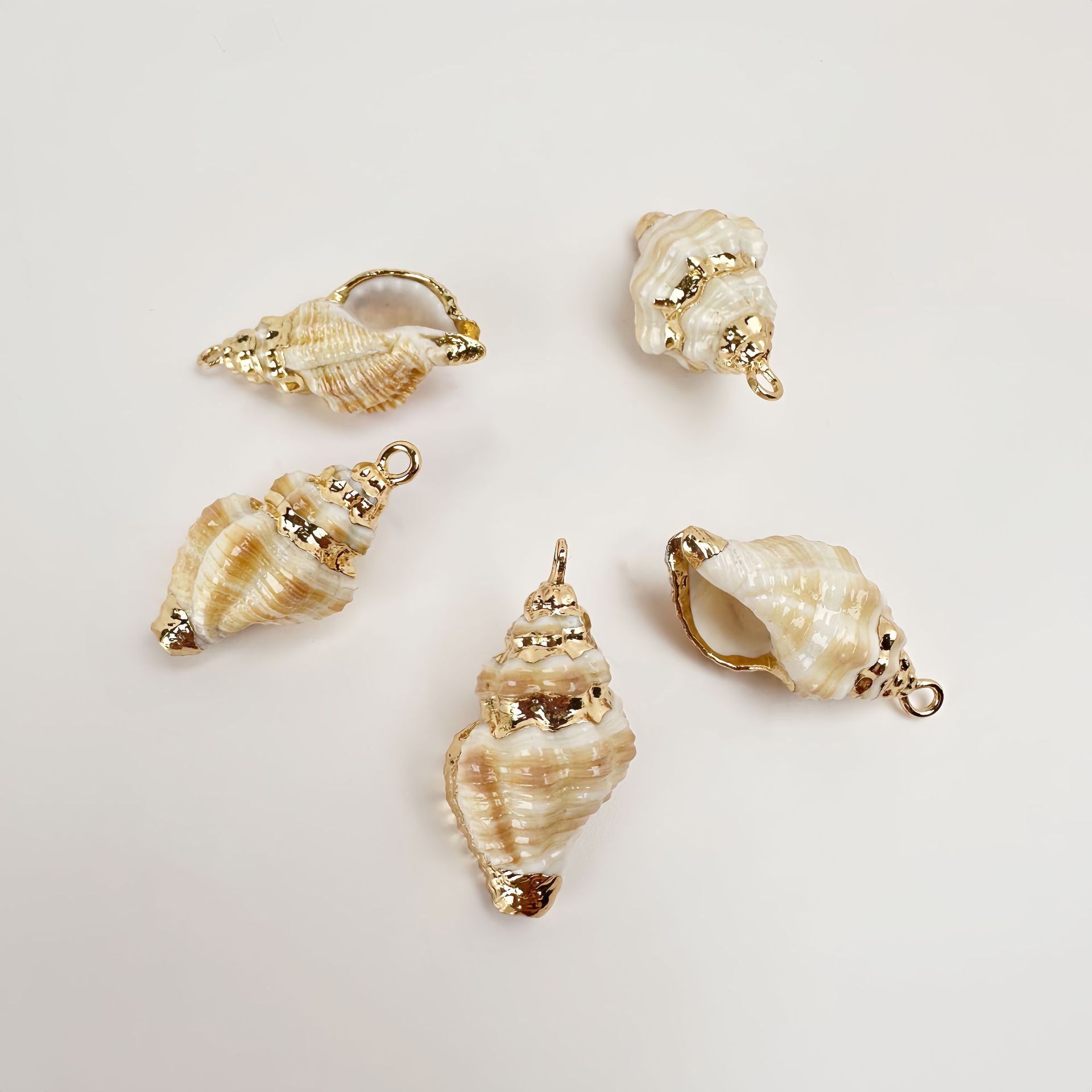 57 희귀 천연 분말 껍질 Danxia 달팽이