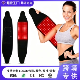 电子美容仪;面罩美容仪;电热护膝护腰