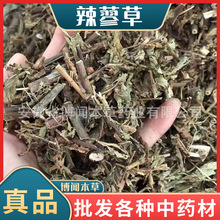 ��ޤ����ș����ޤ���Rޤ�e��ޤ�Ӳݰ߽������Rޤ������