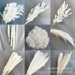 创意永生花礼物