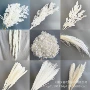婚礼家居摄影梦幻永生花
