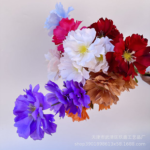 ����4�^���mϦ��c�b� ���´�ɫܽ�ػ���Y�Ƶ���̨